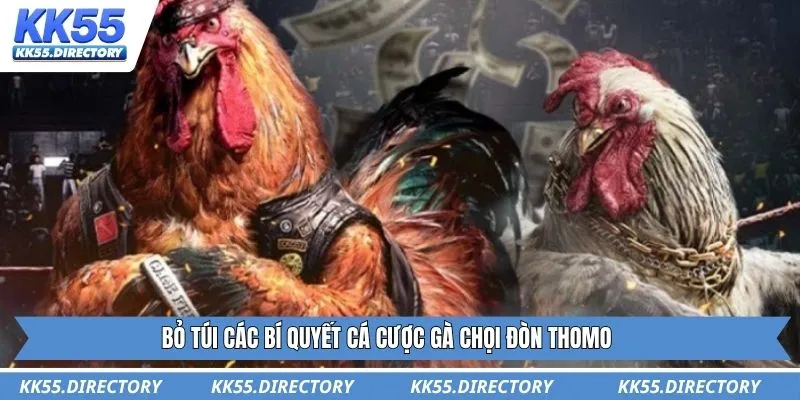 Bỏ túi các bí quyết cá cược gà chọi đòn thomo