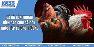 Đá Gà Đòn Thomo – Đỉnh Cao Chọi Gà Đòn Trực Tiếp Từ Đấu Trường