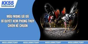 Màu Mạng Gà Đá – Bí Quyết Xem Phong Thủy Chiến Kê Chuẩn