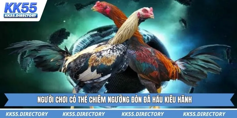 Người chơi có thể chiêm ngưỡng đòn đá hầu kiêu hãnh