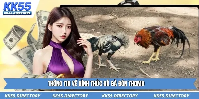 Thông tin về hình thức đá gà đòn thomo